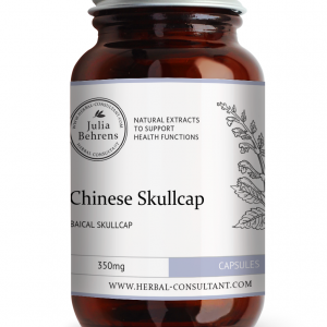 Chinese Skullcap 