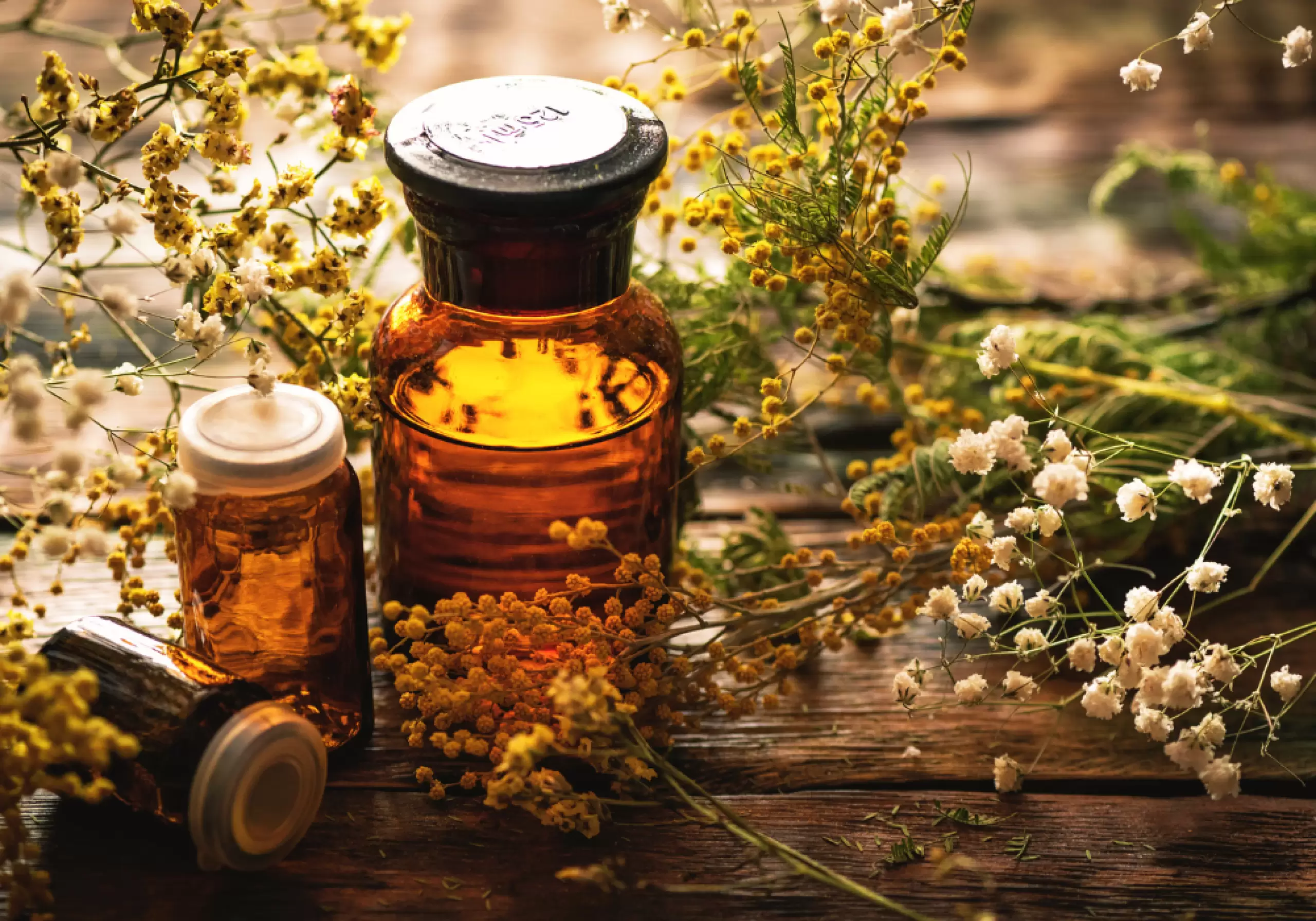 Herbal Medicine Journey (1 Year Course)